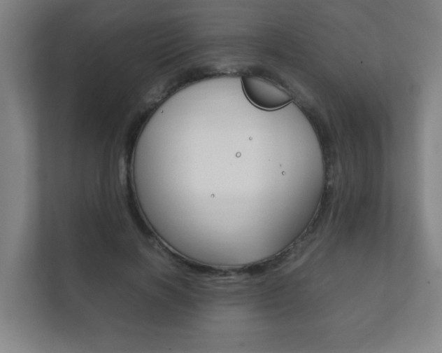 X0000111850646200907231100