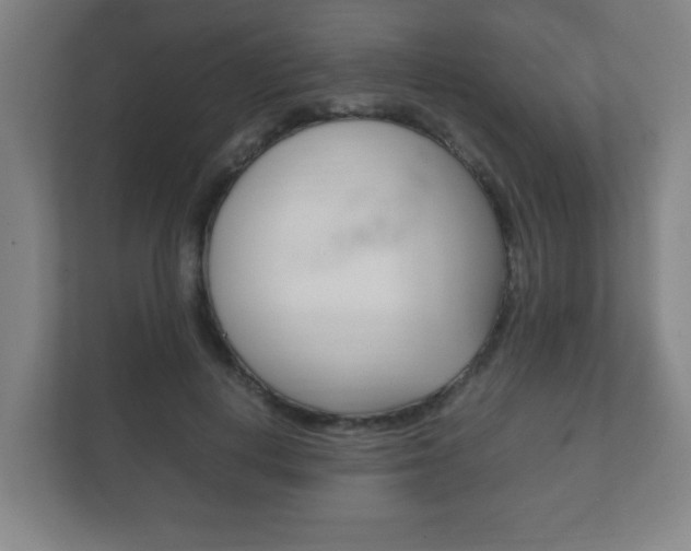 X0000111850648200907231100