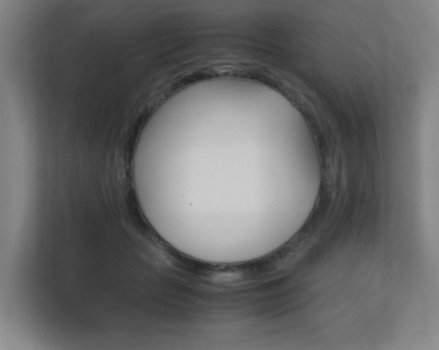 X0000111850653200907231100