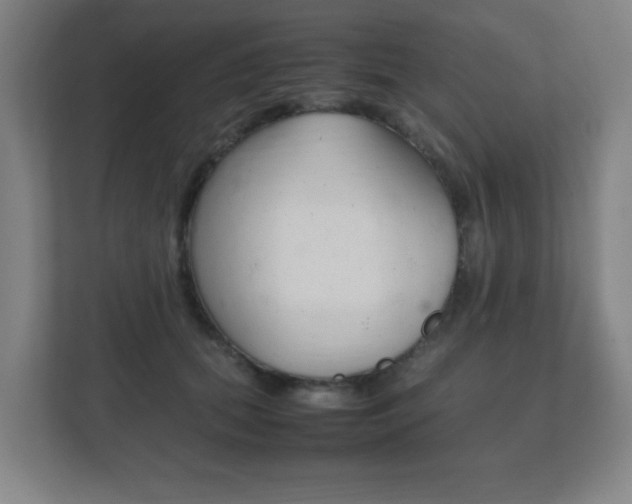 X0000111850655200907231100