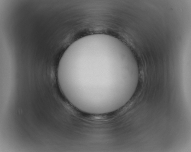X0000111850662200907231100
