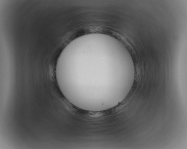 X0000111850667200907231100