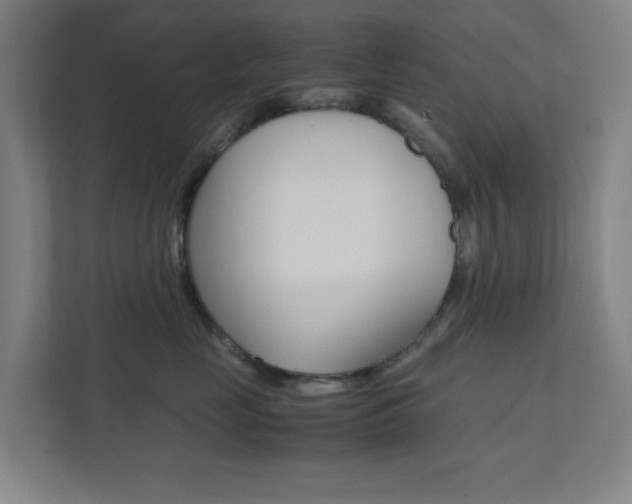 X0000111850669200907231100
