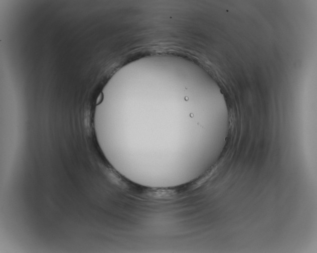X0000111850670200907231100