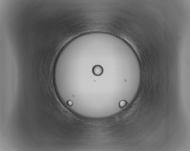 X0000111850673200907231100