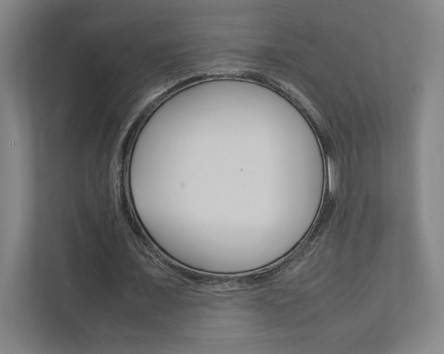X0000111850675200907231100