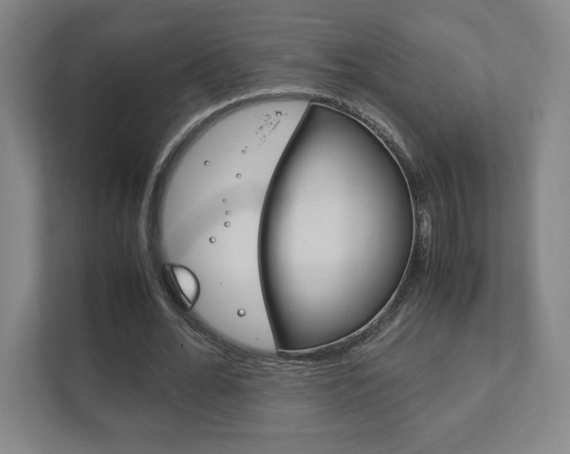 X0000111850676200907231100