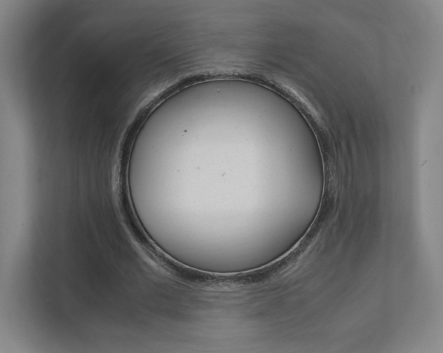 X0000111850677200907231100