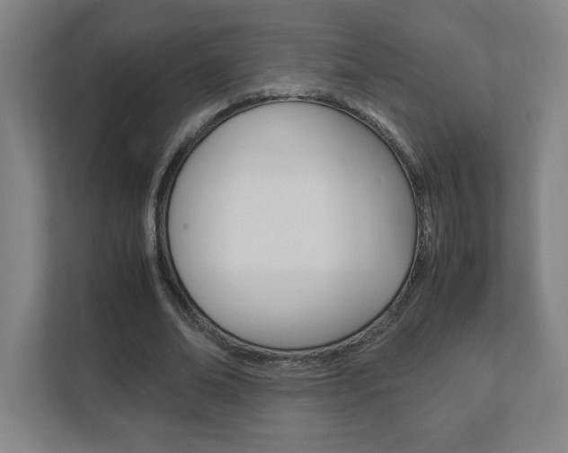 X0000111850678200907231100