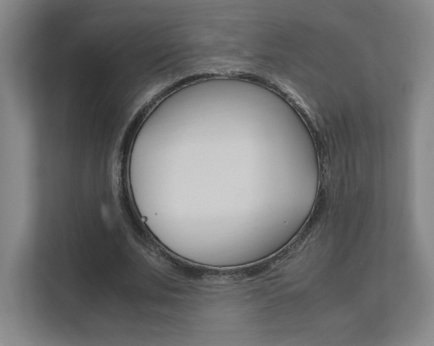 X0000111850679200907231100
