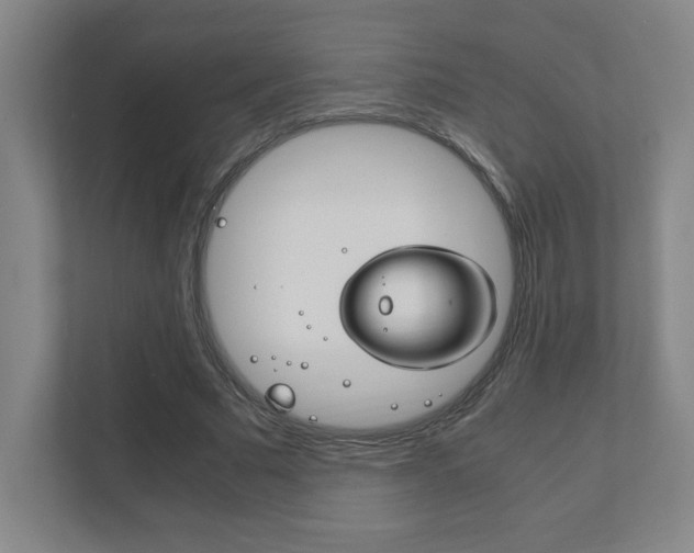 X0000111850681200907231100