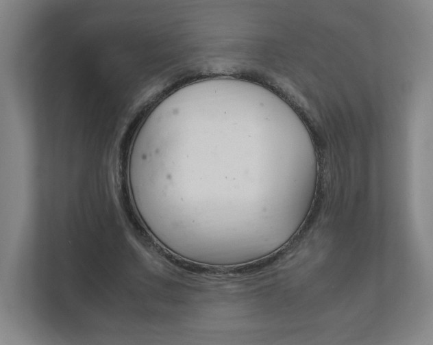 X0000111850683200907231100