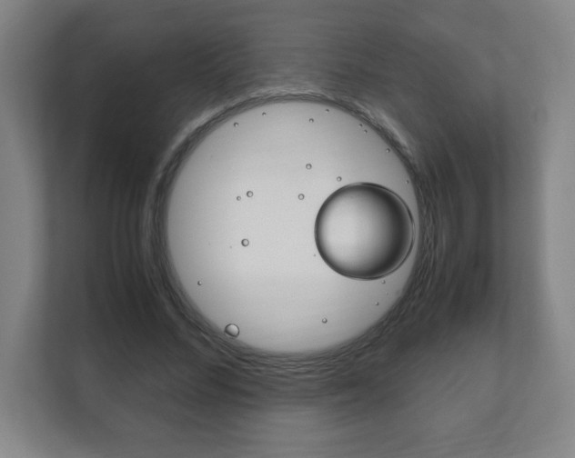 X0000111850684200907231100