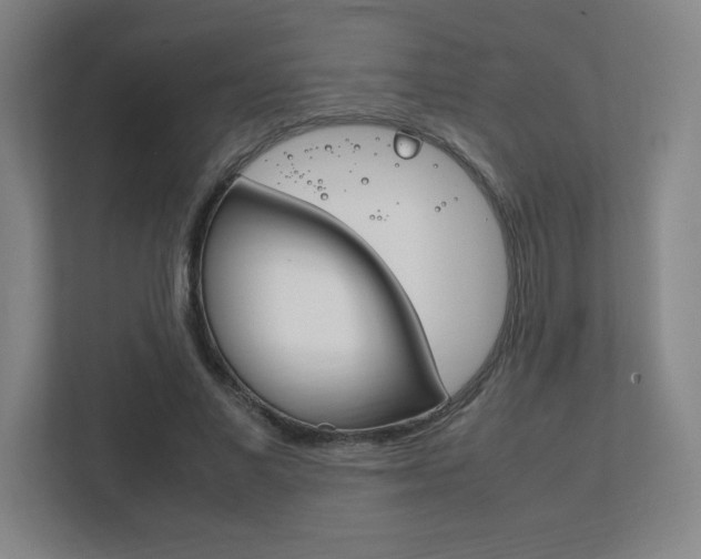 X0000111850685200907231100
