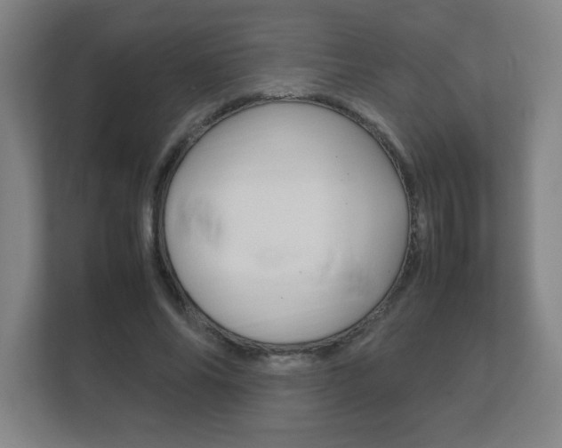 X0000111850686200907231100