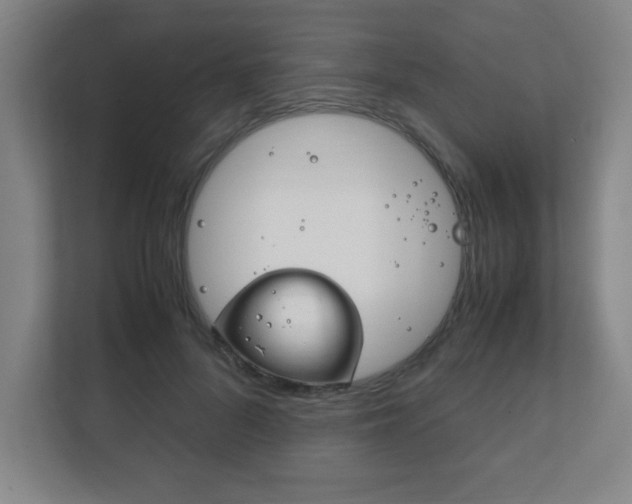 X0000111850696200907231059