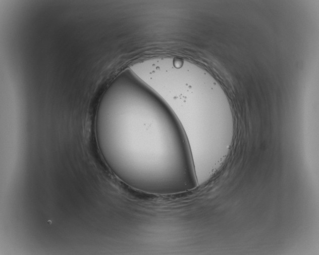 X0000111850697200907231059