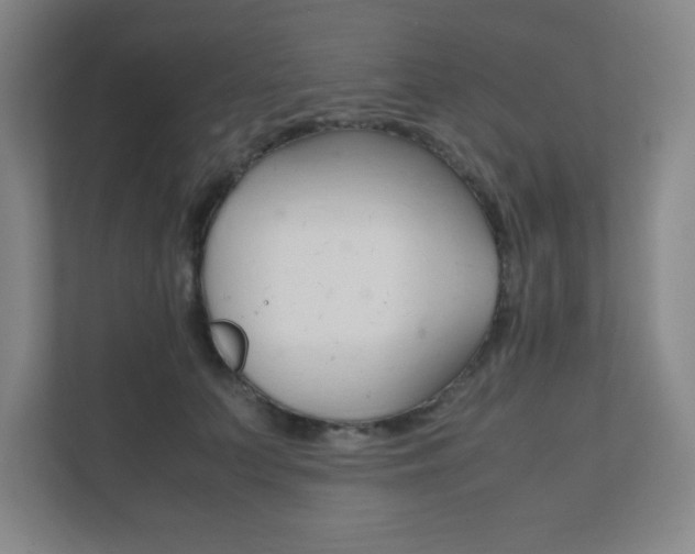 X0000111850703200907231059