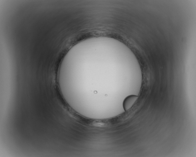 X0000111850706200907231059