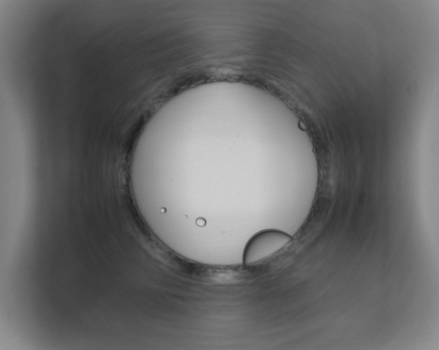 X0000111850710200907231059
