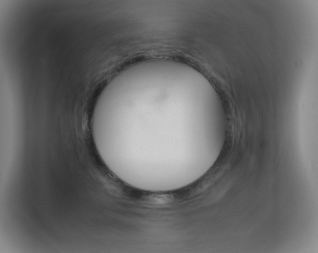 X0000111850711200907231059