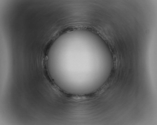 X0000111850712200907231059