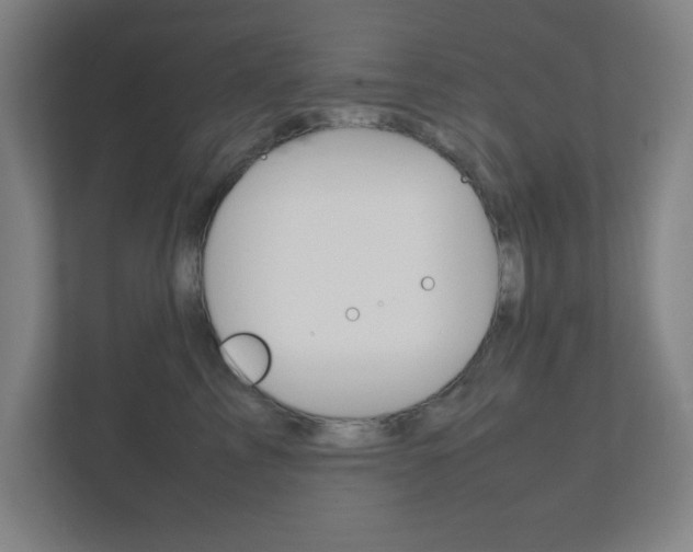 X0000111850713200907231059