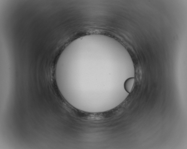 X0000111850714200907231059