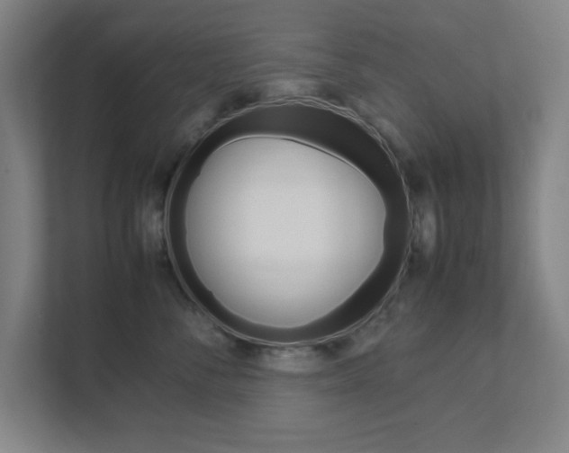 X0000111850716200907231059
