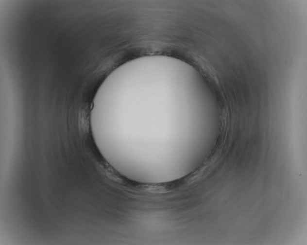 X0000111850719200907231059
