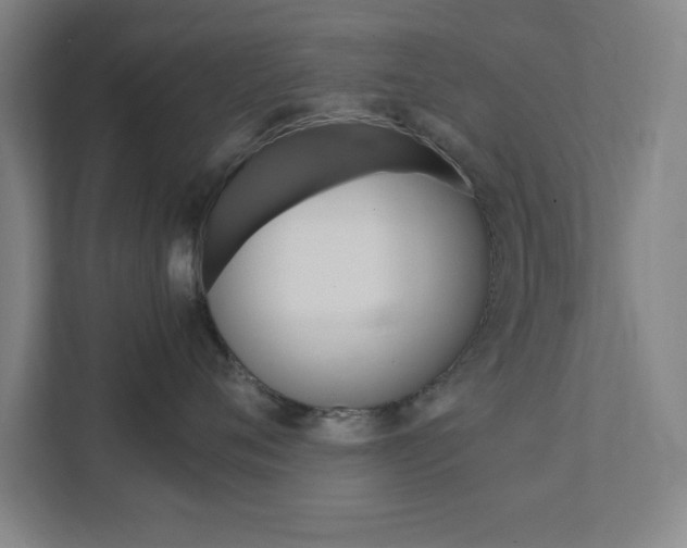 X0000111850720200907231059