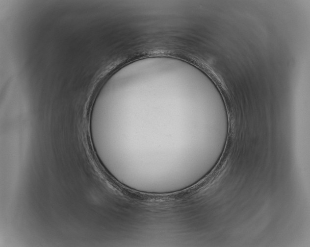 X0000111850721200907231059