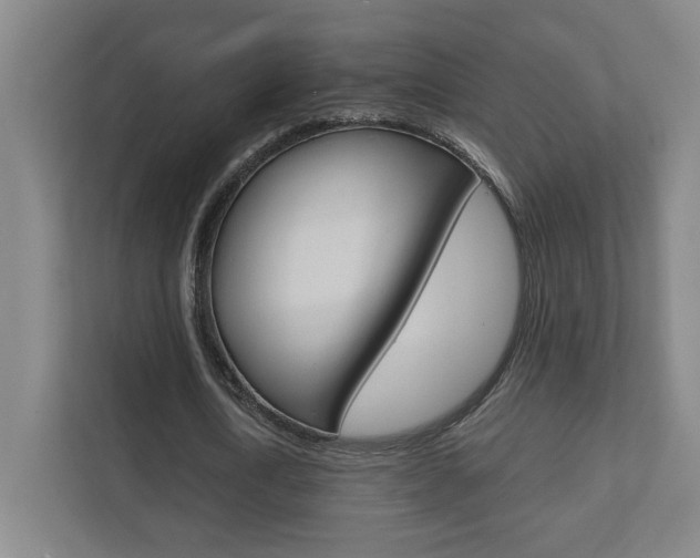 X0000111850722200907231059