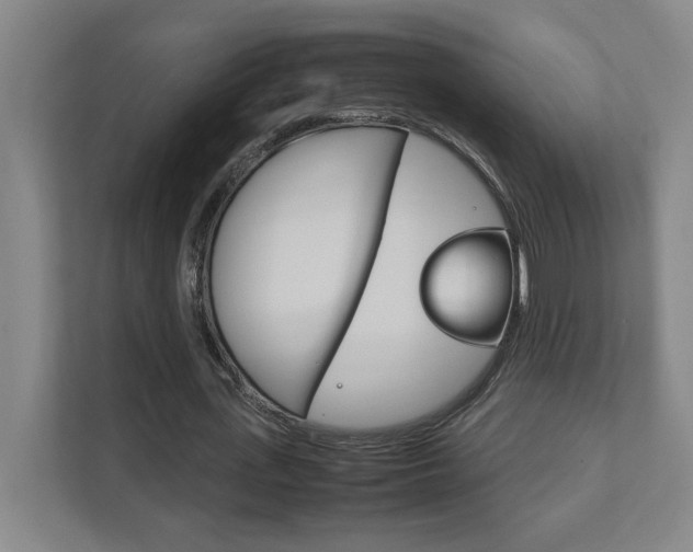 X0000111850723200907231059