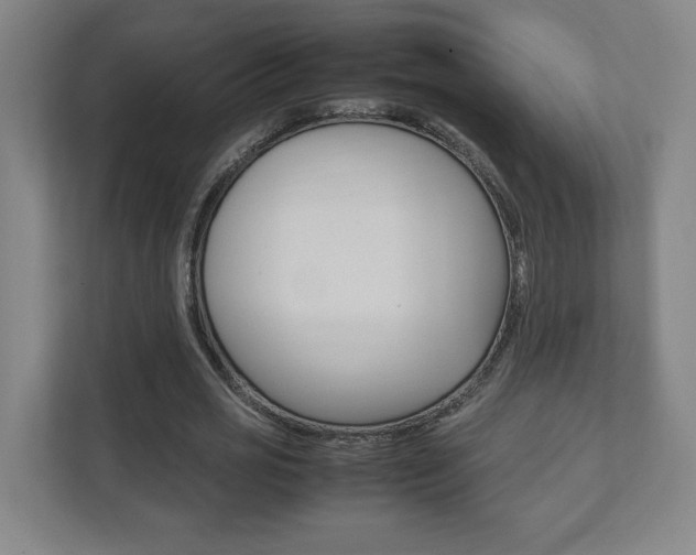 X0000111850725200907231059