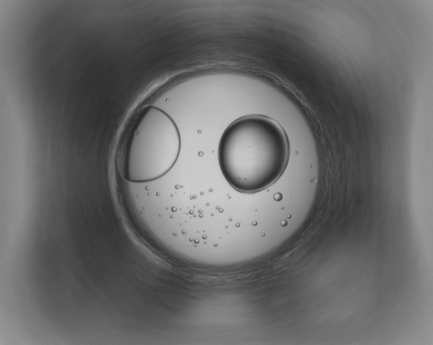 X0000111850726200907231059