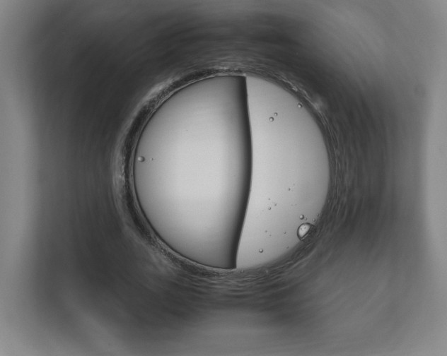 X0000111850727200907231059