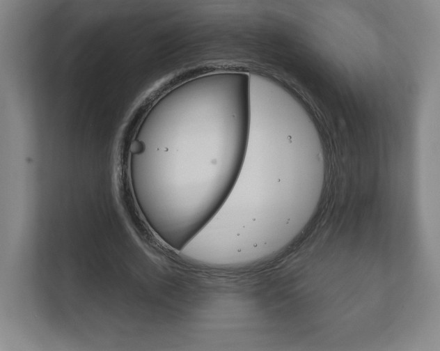 X0000111850728200907231059