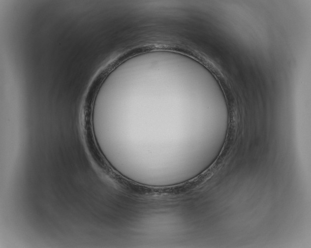 X0000111850730200907231059
