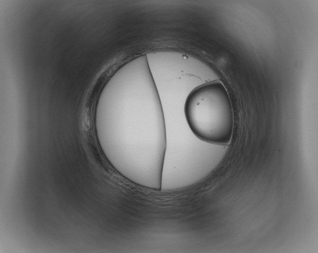 X0000111850731200907231059