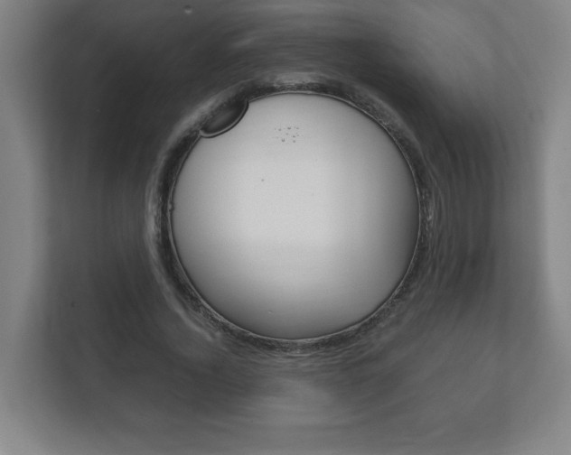 X0000111850732200907231059