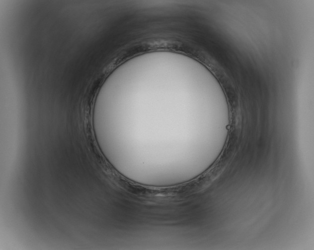 X0000111850737200907231059