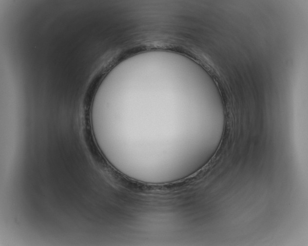 X0000111850738200907231059