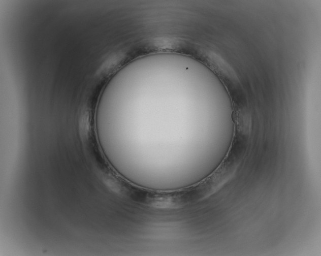 X0000111850740200907231059