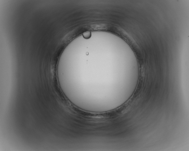 X0000111850741200907231059