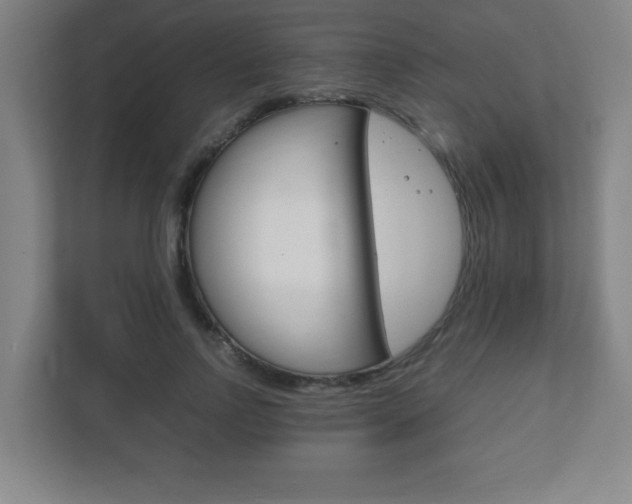 X0000111850742200907231059