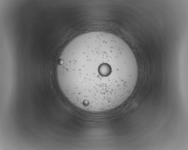 X0000111850750200907231059