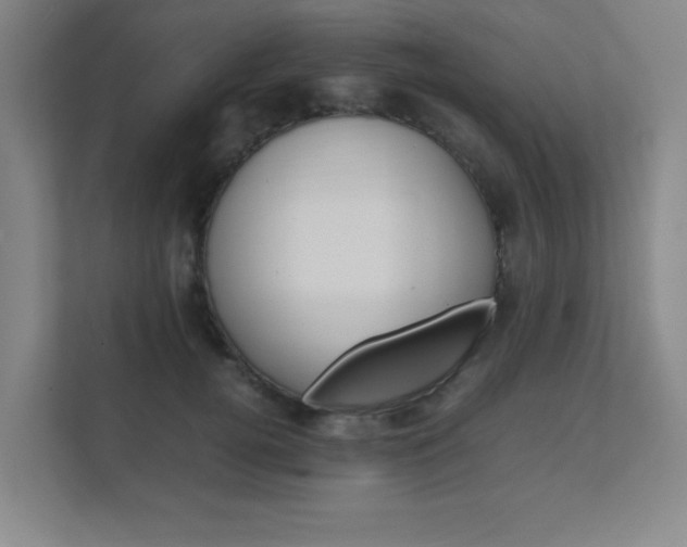 X0000111850752200907231059