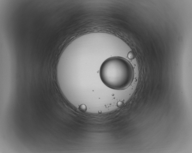 X0000111850756200907231059
