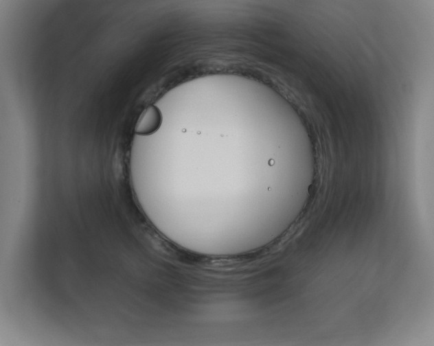X0000111850758200907231059